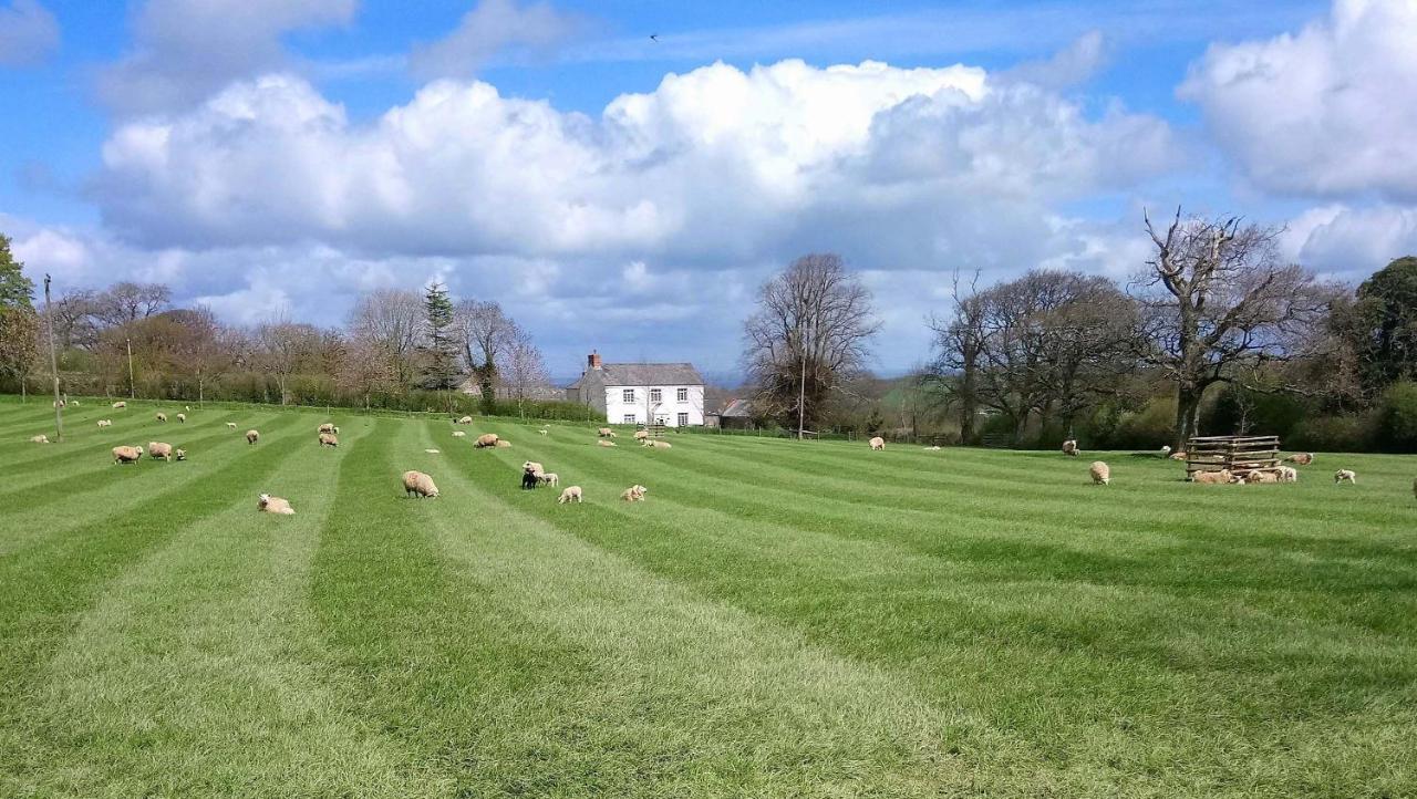 Lovaton Farmhouse Okehampton Exterior foto